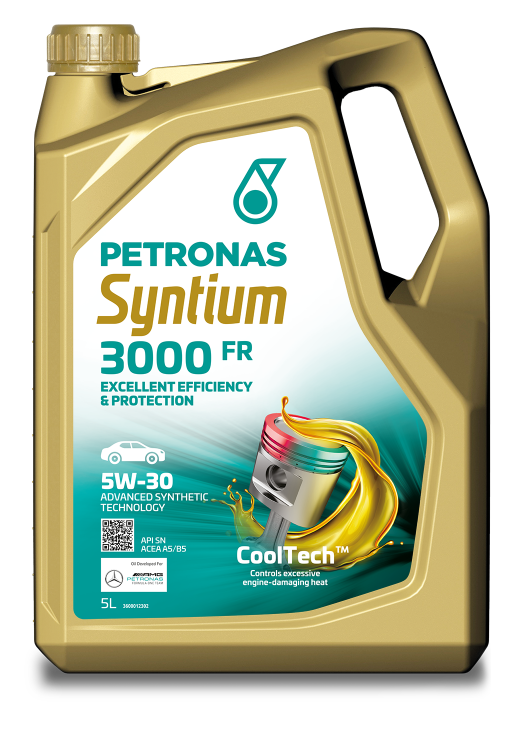 SYNTIUM 3000 FR 5W-30 SN