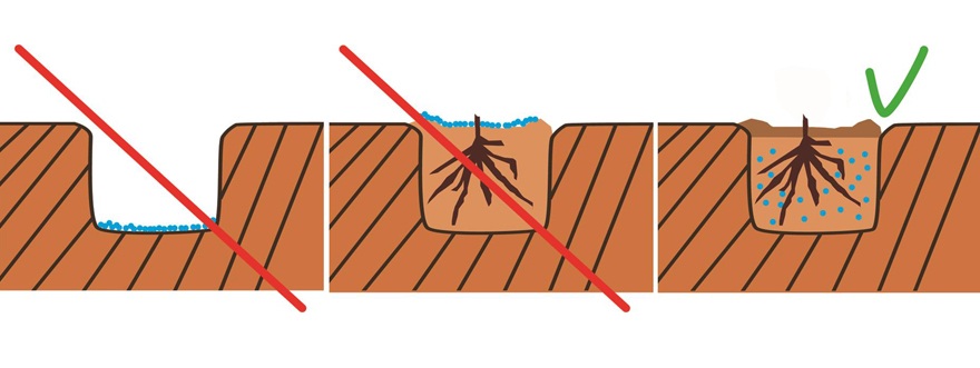 TerraCottem Arbor