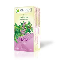 Máta